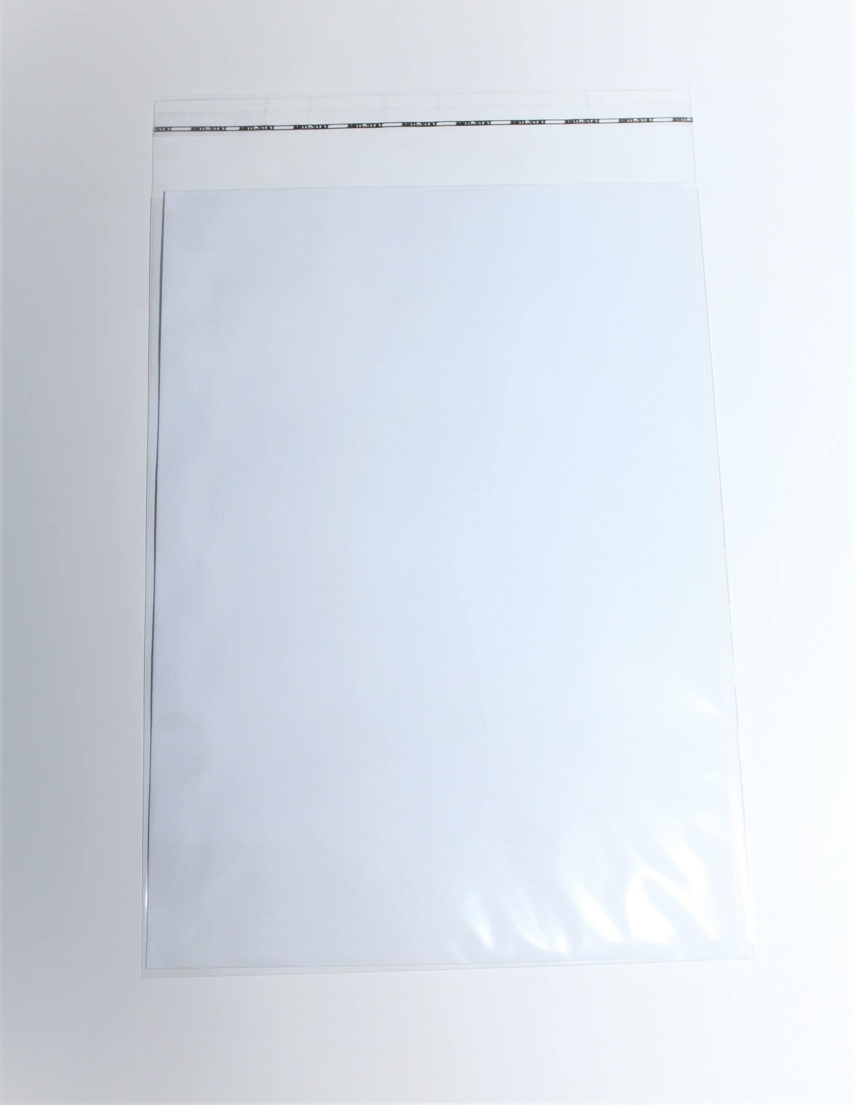 1000 St. Schutzhüllen Prospekthüllen Klarsichthüllen, Folie, DIN A5/C5, glasklar, 167 x 229 mm mit 30 mm wiederverschließbarer Klappe zum Schutz von Flyern, Briefumschläge, Dokumenten, Fotos
