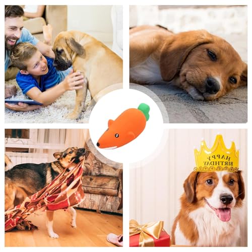 Brinquedos para mastigar cães barulhentos, brinquedos para mastigar cães de látex - Brinquedos para