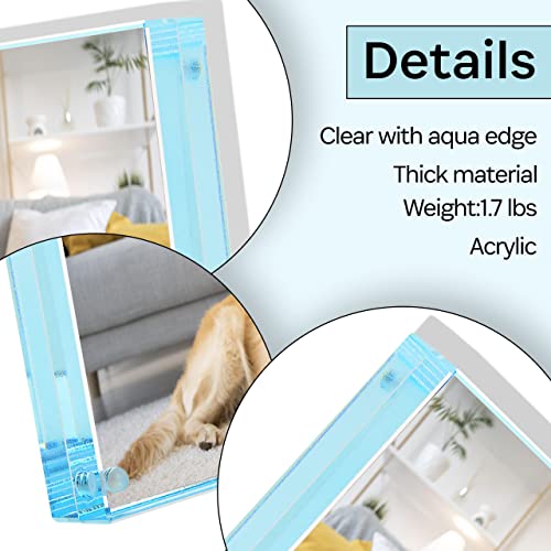 Color Edge Magnet Frame By Canetti-Pastel Aqua 5X7 Inch #TOP6