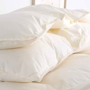 Amazon｜西川 羽毛布団 セミダブル 1年中 2枚合わせ 増量 ダウン