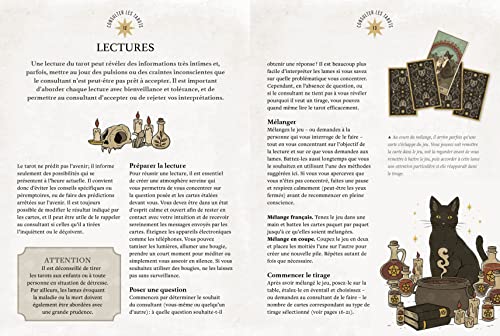 Tarot Le Pouvoir des chats - Image 4