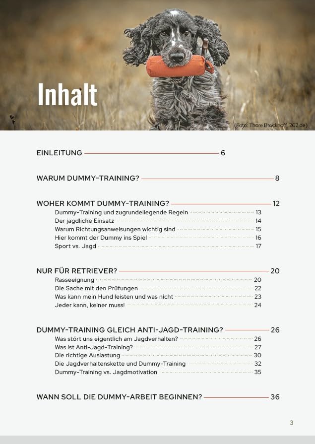 Dummy-Training - mehr als Apportieren: Team werden - Herausforderungen meistern - Leichtigkeit finden