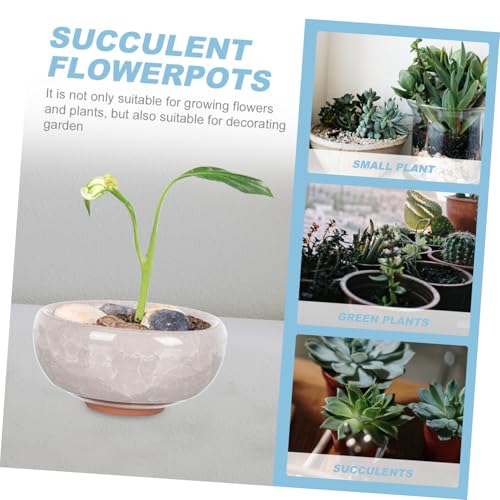 Pots de fleurs en céramique étroits pour optimiser les petits espaces - 4