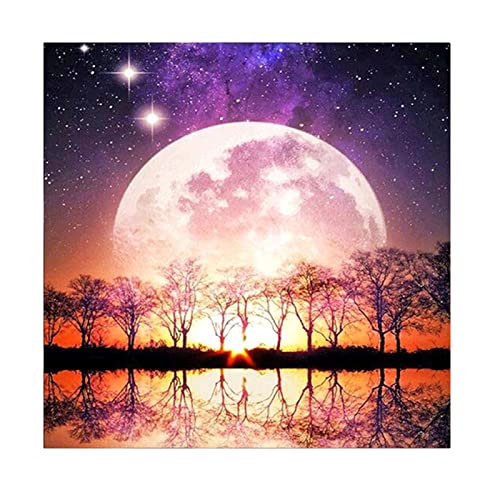 Diamant Peinture Art Kits Anti-Stress Toile Grand Format
