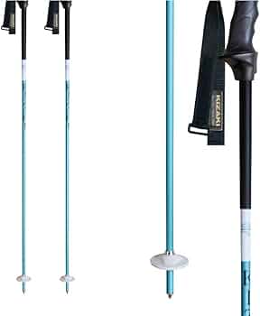 KIZAKI カーボンストック(GS.SL用120cm) Amazon | KIZAKI キザキ スキー ポール ストック GSカーボン 2025