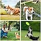 BNWRRCVKE Hundespielzeug Set, 15 Pcs Seil Ball Hunde robuste Zähne Kauen langlebig Spielzeug Zahntraining Set Für Kleine mittelgroßen Hund Interaktives Hundespielzeug zum Zähneputzen Unzerstoerbar