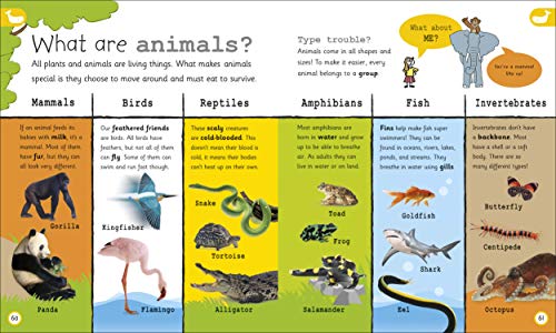My Encyclopedia of Very Important Things: For Little Learners Who Want to Know Everything - Image 7