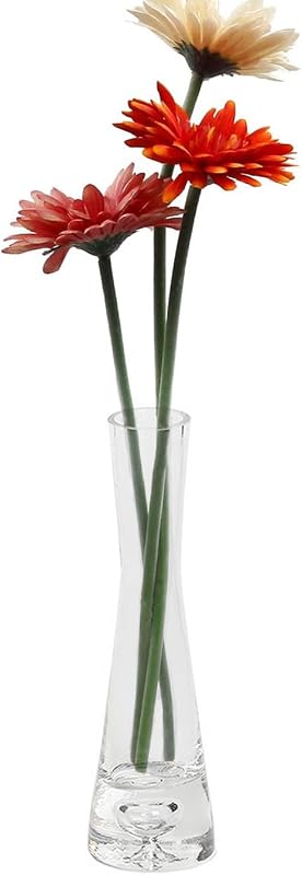 Clear Glass Small Bud Vase 8 Inches 1 Pack Narrow Necked Single Stem Vase Minimalist Modern for Home Office Table Decoration