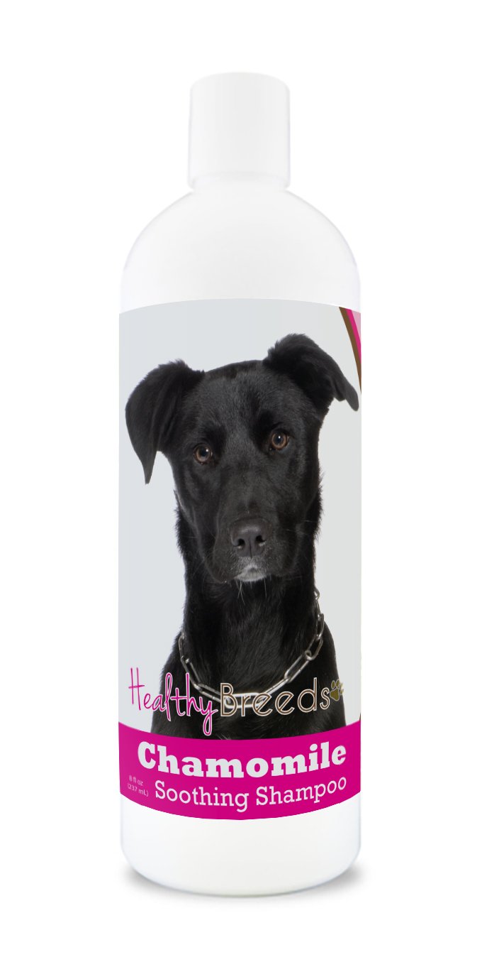 Healthy Breeds Yorkshire Terrier Chamomile Soothing Dog Shampoo 8 oz — view 145
