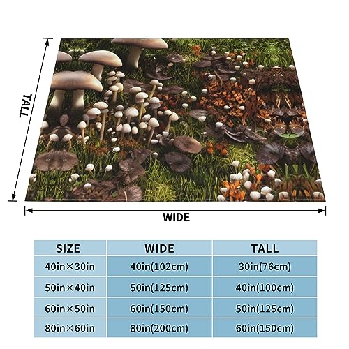 Couverture de canapé peluche douce double microfibre moelleuse toutes saisons