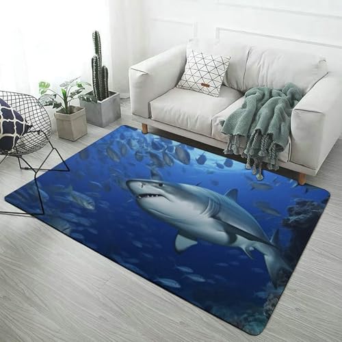 Tapis de chambre en velours de corail lavable pour une maison moderne