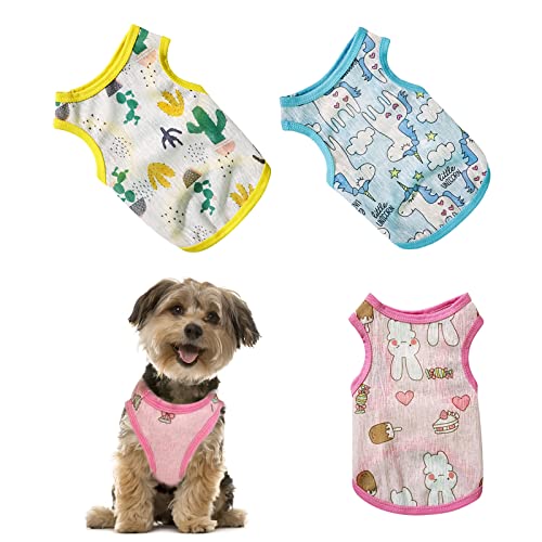 Ropa Perros Chihuahua Marca PUPPBUDD