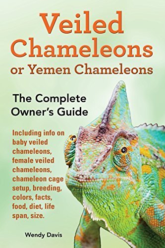 Veiled Chameleons or Yemen Chameleons as pets. info on baby veiled chameleons, female veiled chameleons, chameleon cage setup, breeding, colors, facts, food, diet, life span, size. by Wendy Davis (2014-08-24) Paperback