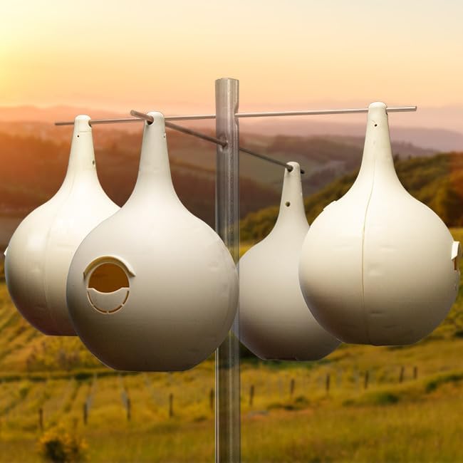 Amazon.com: Wild Bird Lover's Two-Piece Martin Gourds, Pack of 4