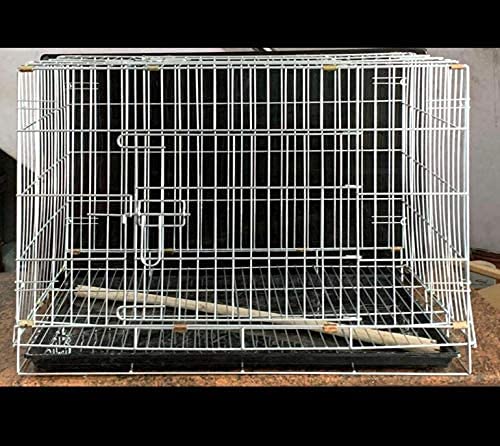 Lovely PETS KINDOM-Double Door Folding Metal cage with Removable Tray and paw Protector for Dogs,Cats and Rabbits (24 inch Chrome Coloured) (B097N7FH8J) Amazon Price History, Amazon Price Tracker