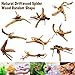 Hamiledyi 4PCS Driftwood for Aquarium 8-10in Natural Spider Wood Reptile Branches Fish Tank Log Ornament Aquarium Trunk Decoration