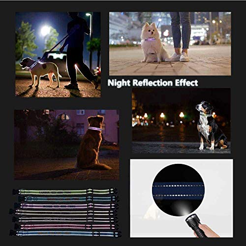 Custom Personalized Dog Id Collars Embroidered Pet Name Phone Collars 4 Adjustable Sizes: X Small ,Small, Medium, Large Nylon Collars For Dogs #TOP5