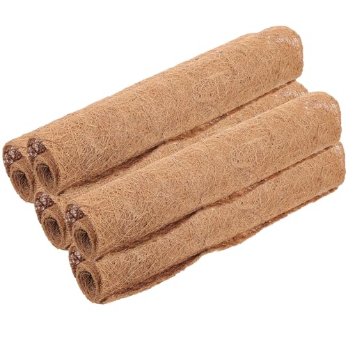 Yardenfun 5 VRRRibct@Co[ {? ϋv  {p}bg یƉKȎY ybgppbh