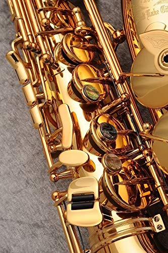 Amazon | Cannonball キャノンボール アルトサクソフォン Sceptyr Semi