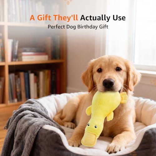 Image of Amazon Basics Fiber Stuffed Yellow Duck Crinkle Dog Toy | Soft Squeaker | Durable Cotton Fabric | for Teething & Training | Small, Medium & Large Dogs | Indoor Play