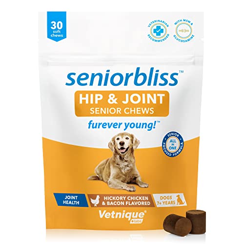 Top 10 Best Dog Arthritis Supplement For Senior Dogs Reviews & Buying