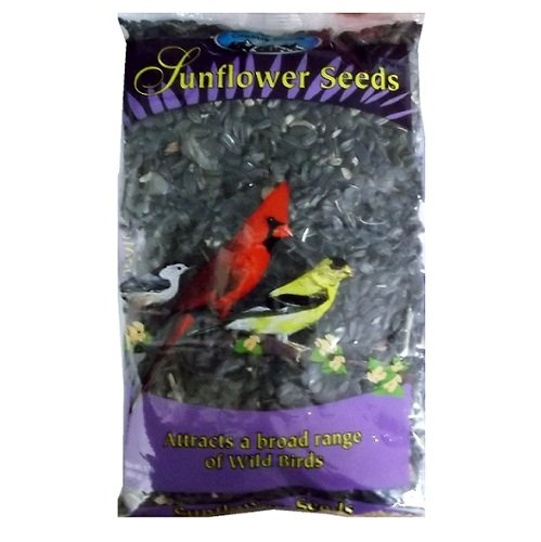 Wholesale C.B Black Oil Sunflower Seeds 1 Lb