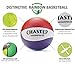 Chastep 8 Inch Foam Sports Ball, Rainbow Basketball, Safe & Soft Kick - Good Gift for Kids