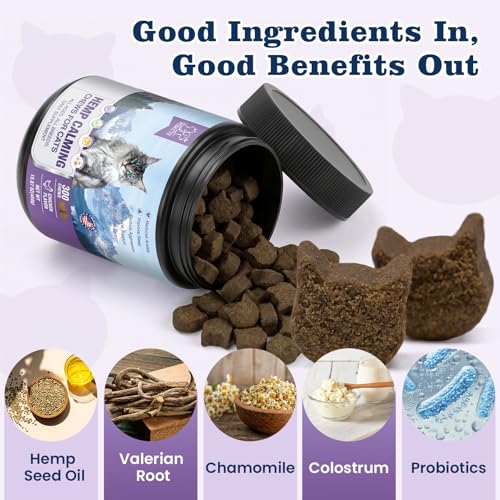 PLBKCTS Calming Care for Indoor Cats - 300 Soft Calming Chews for Cats to Relieve Anxiety Stress & Prevent Bites Cat Melatonin Treats for Travel Boarding Chicken Flavor