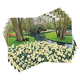 ABAKUHAUS Frühling Platzmatten, Blumen-Garten im Erholungspark mit frischer Gras-Feld-und Teich-Natur-Szene, Tiscjdeco aus Farbfesten Stoff für das Esszimmer und Küch, Grün braun