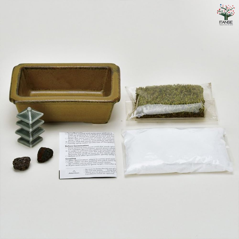 Amazon.co.jp: ITANSE 禅庭 ZEN GARDEN 三重塔 4個セット 苔盆庭