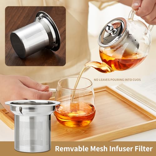 Glass Teapot with Removable Infuser, 20 oz/600ml Glass Tea Pot Small Borosilicate Tea Steeper Kettle with Loose Leaf Tea Strainer For Flower Blooming Tea, ClearTea Maker Pitcher