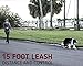 Leash Boss 15 Foot Dog Leash with Padded Handle - Long Leash for Hiking, Camping, Exploring, or Walking (15 Ft, Black/Red/Grey)