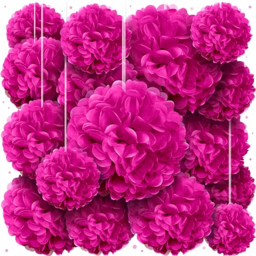 Hot Pink Tissue Paper Pom Poms - Hot Pink Party Decorations for Birthdays, Weddings, Baby Showers, Engagements and Special Occasions by Avoseta (16 Piece Set, Assorted Sizes)
