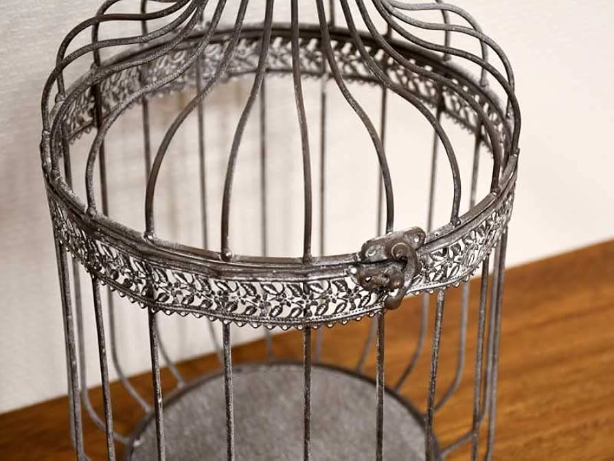 Amazon.co.jp: バードケージ L ラスティック ラウンド アイアン