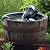 Aquascape 78315 Face and Hands Pond and Garden Water Fountain, Patina