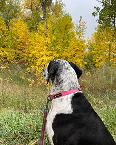 Collier de qualité OllyDog Tilden rose pour chien de taille moyenne