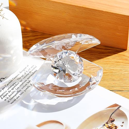 Movdyka Crystal Clear Shell for 25 Years Anniversary Romantic Gifts Ideas Silver 25th Anniversary Romantic Presents for Couple Wife 25 Years of Love Glass Keepsake Ornament - Image 4
