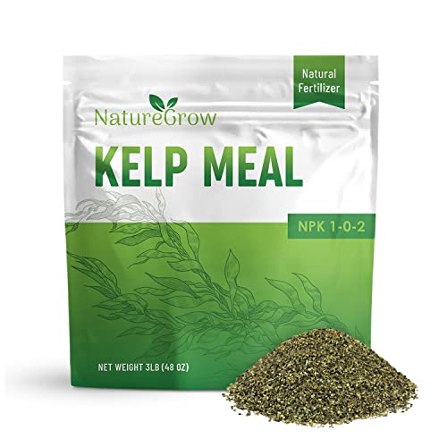 NatureGrow Kelp Meal 6lb 1-0-2 Natural Plant Food Boost Plant Health and Yield!