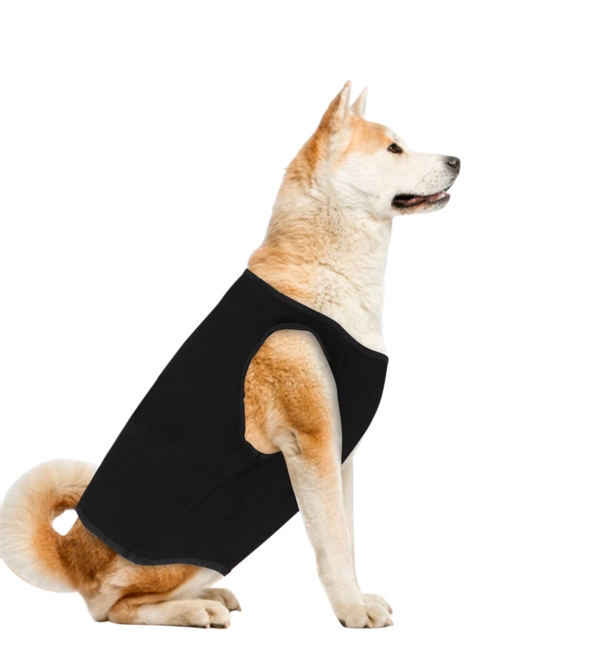 Western Era Soft Cotton Dog T-Shirt, Comfortable Dog Clothing, Sleeveless Vest Puppy Outfit, Apparel (Black) (XXSmall) (10 inches) (B09SFZ115B) Amazon Price History, Amazon Price Tracker