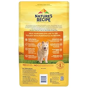 Natures Recipe Hen Barley  Brown Rice Recipe Dry Canine Meals 4 Lb Bag  Cucciolini Doodles Natures recipe hen barley  brown rice recipe dry canine meals 4 lb Bag   cucciolini doodles