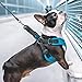 Gooby Escape Free Sport Harness - Lime, Small - No Choke Step-in Patented Neoprene Dog Harness with Four-Point Adjustment for Small to Medium Dogs