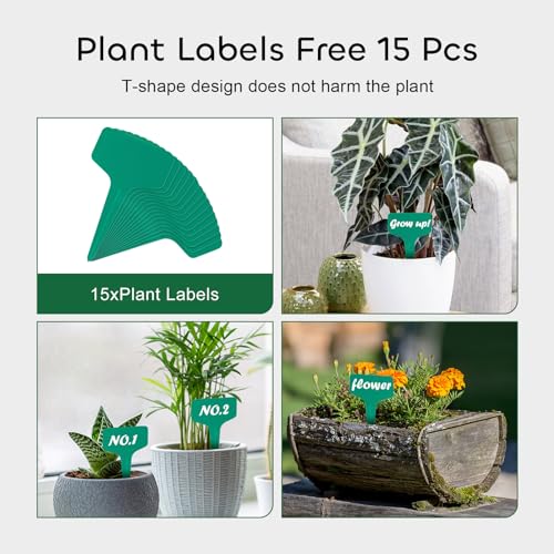 Growneer PSAUCER-24 Pack Of 6, 8, 10, 12 Inches Clear Plant Saucers Flower Pot Trays thumb #5