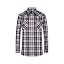 Beige Navy Check 81