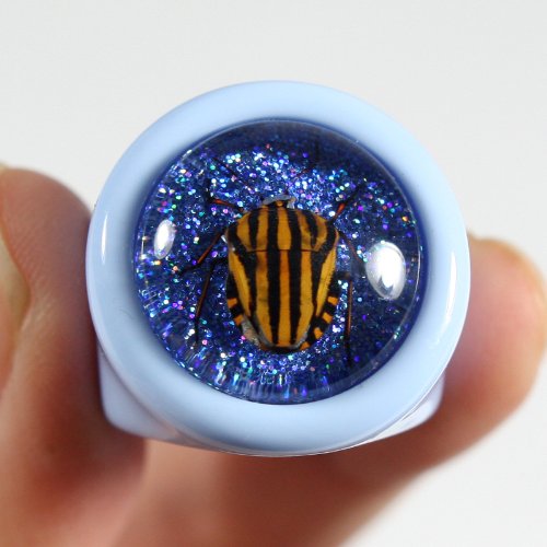 REALBUG Shield Bug Blue Ring Size 62