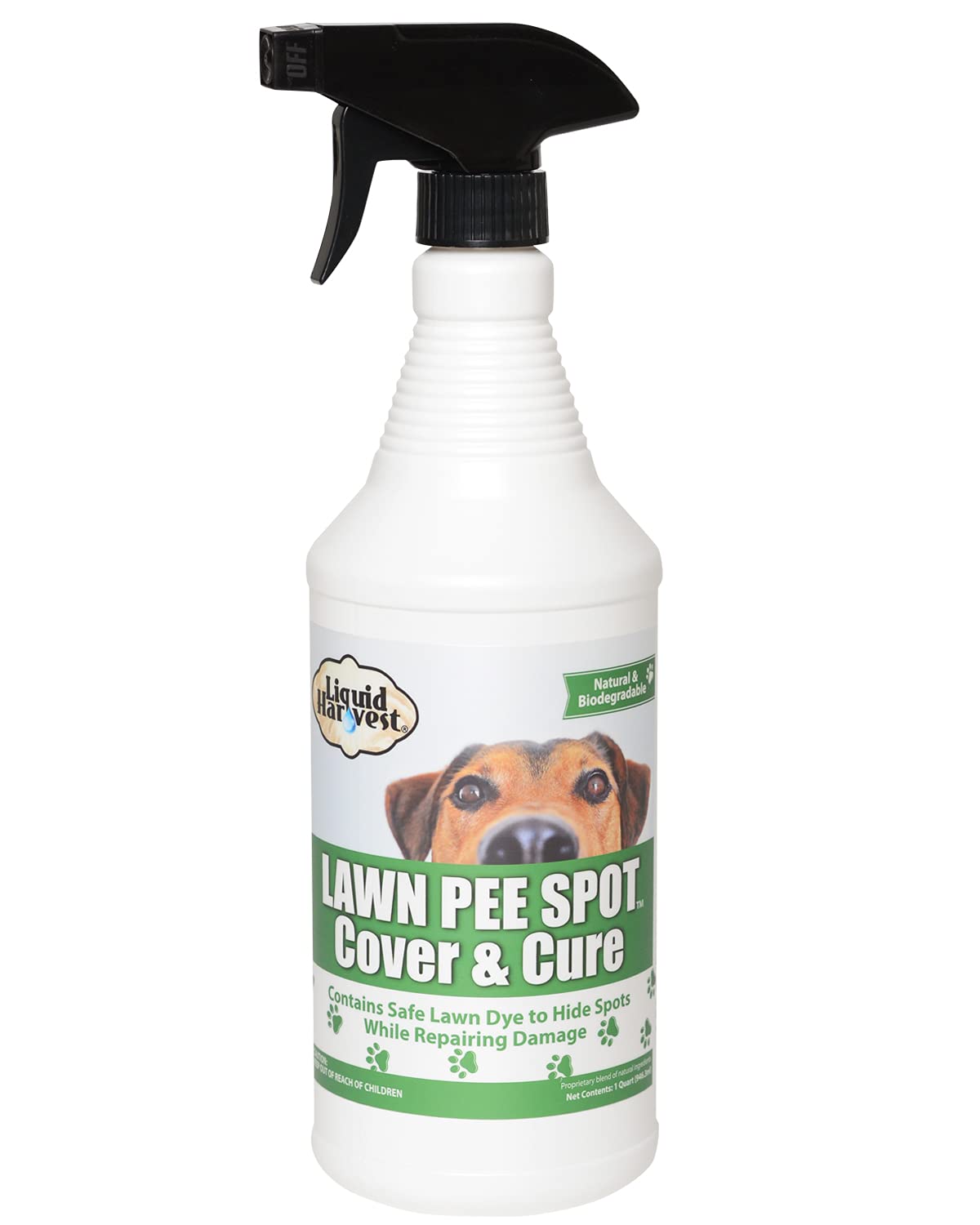 What Does It Mean If My Dogs Urine Is Brown