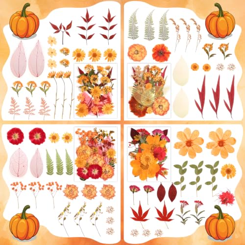 Image of 170 PCS Fall Dried Pressed Flowers with Tweezers, Real Nature Dried Flowers Orange Autumn Pressed Florals Set for Resin Scrapbooking Vase Candle Making Card Scrapbook Craft Floral Decors