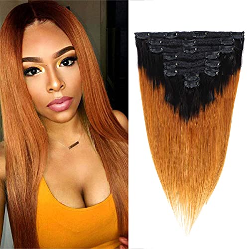 Adette 100% Human Hair Clip in Straight Hair Extensions Ombre Clip Ins for Black Women 1b/30 Clip Ins Ombre Brown Clip In Extensions for African American Women Soft Silky Remy Hair 12 Inches 120g