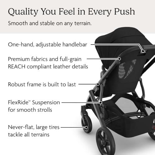 Image of UPPAbaby Vista V3 Convertible Single-to-Double Stroller - James