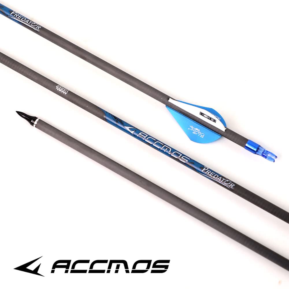 ACCMOS 27-33 Zoll Bogenschießen Carbonpfeil Spine 250 300 340 400 500 600 700 800 ID 6,2 mm Blauer Explosionsgeschützter Ring, für Erwachsene Jugend Recurve Compoundbogen Jagd Schießen 12 St