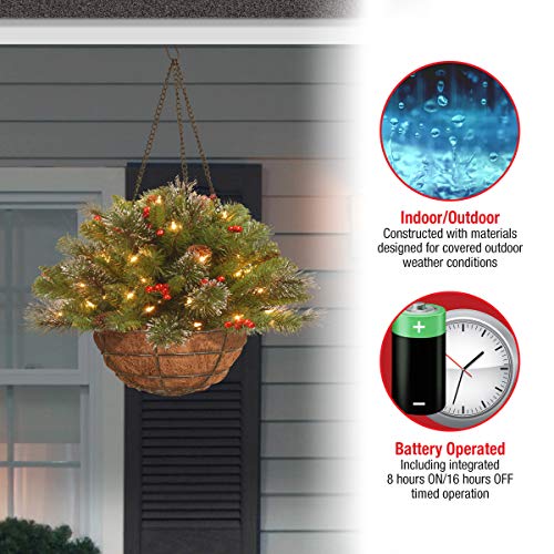National Tree Company Pre-Lit Crestwood Spruce Hanging Basket #TOP14